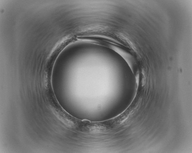 X0000076090400200609291232