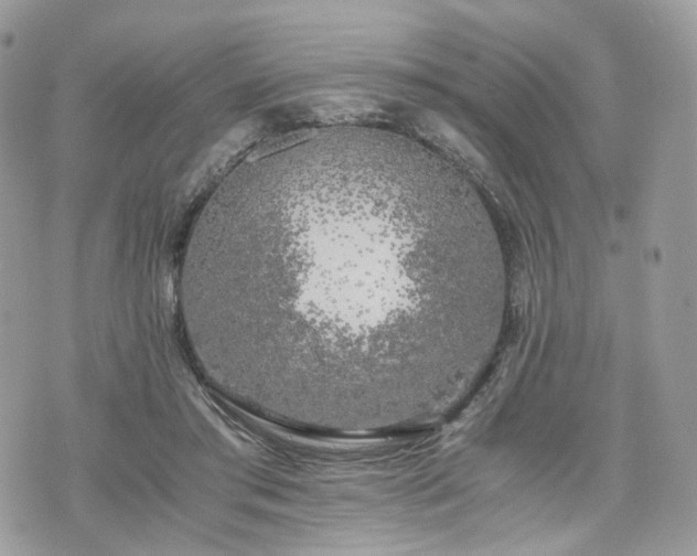 X0000076090405200609291231