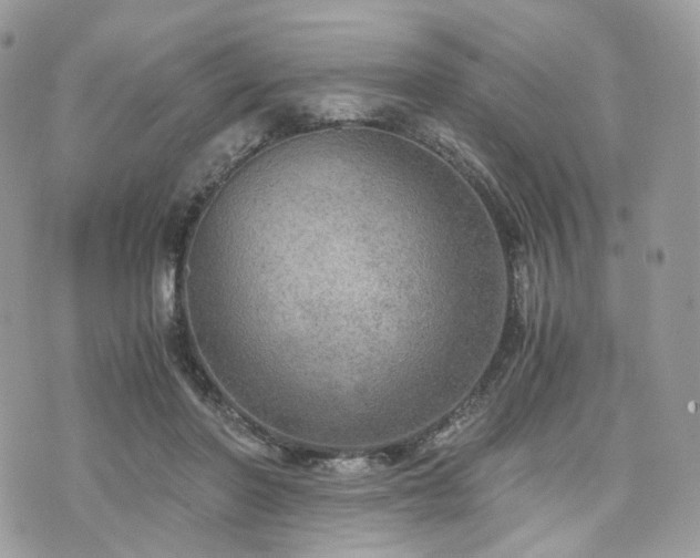 X0000076090406200609291231