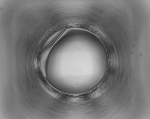 X0000076090408200609291231