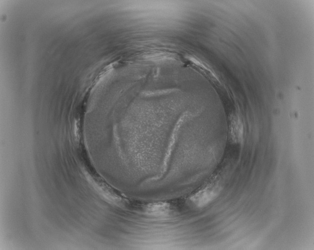 X0000076090410200609291231