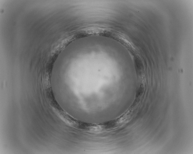 X0000076090411200609291231