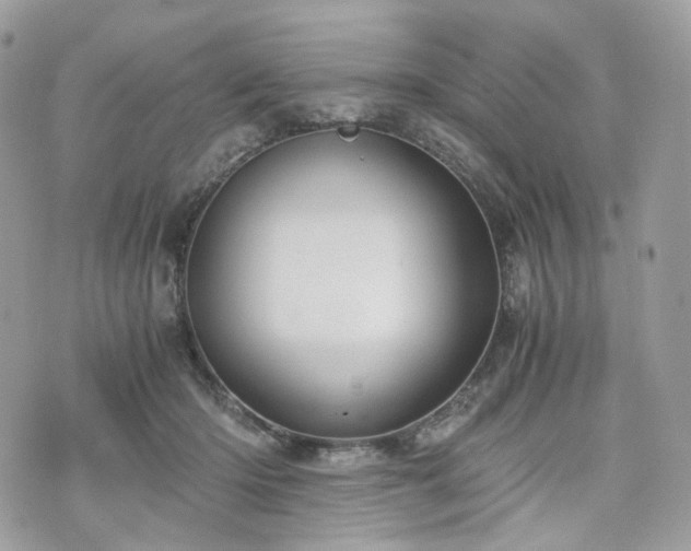 X0000076090414200609291231