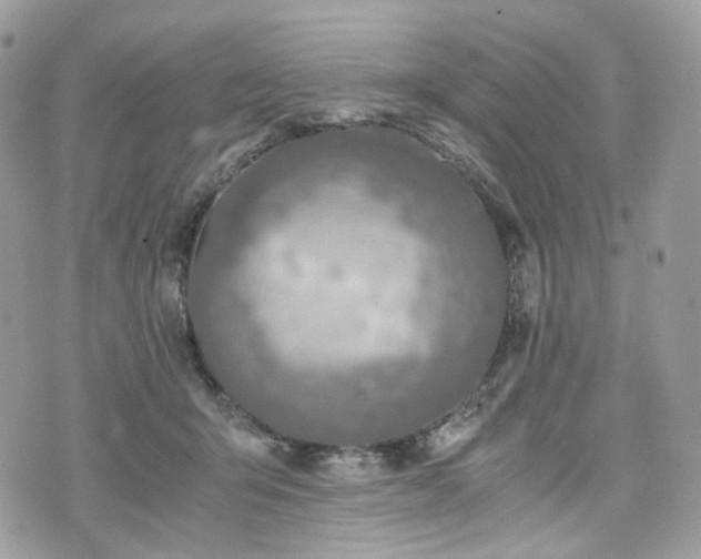 X0000076090415200609291231