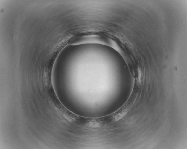 X0000076090416200609291231