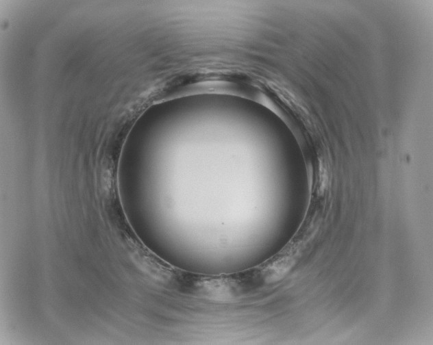 X0000076090417200609291231