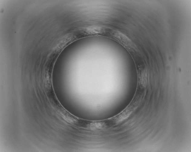 X0000076090418200609291231