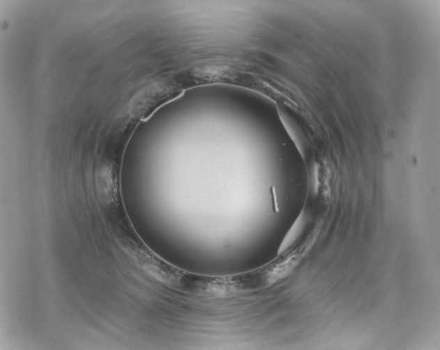 X0000076090420200609291231