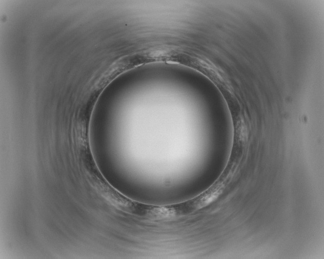 X0000076090421200609291231