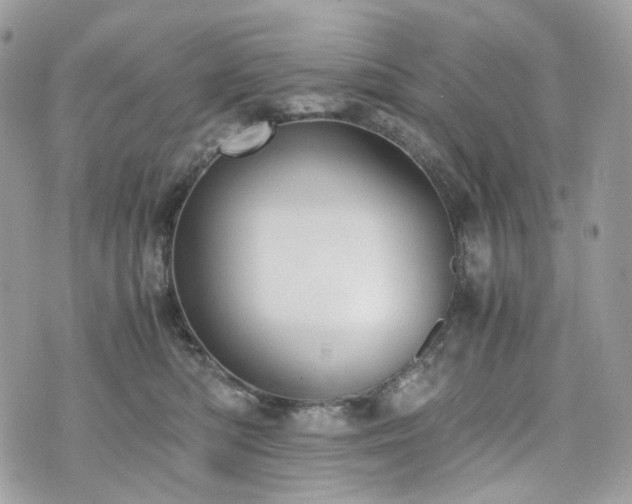 X0000076090422200609291231