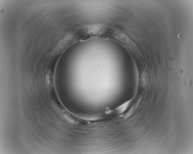 X0000076090424200609291231