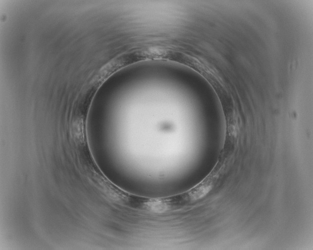 X0000076090425200609291231