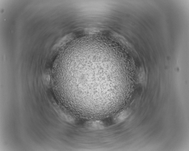 X0000076090427200609291231