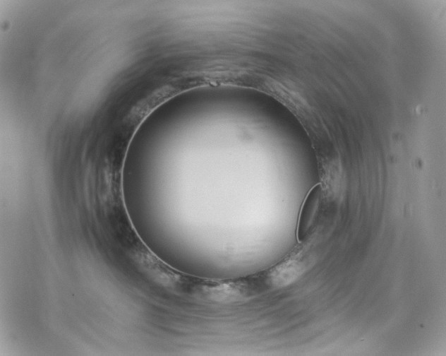 X0000076090430200609291231