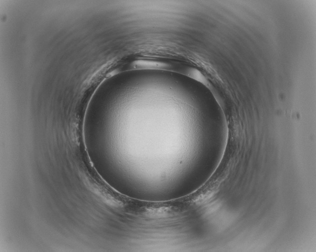 X0000076090450200609291231