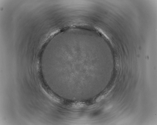 X0000076090451200609291231