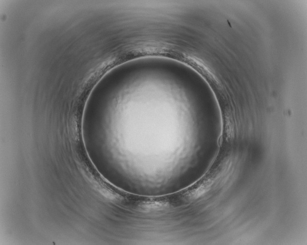 X0000076090453200609291231