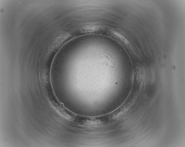 X0000076090455200609291231