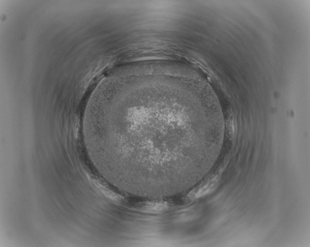 X0000076090458200609291231