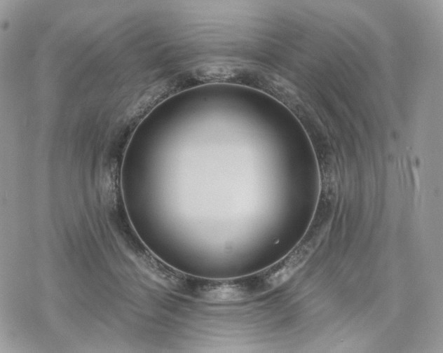 X0000076090460200609291231