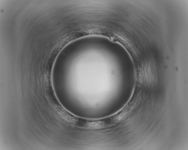 X0000076090461200609291231