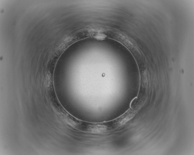 X0000076090463200609291231