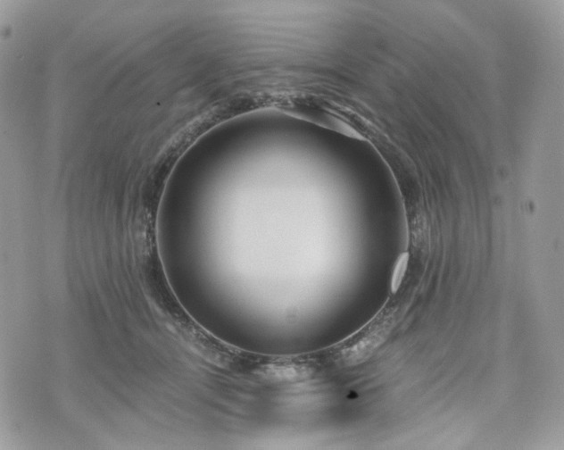 X0000076090464200609291231