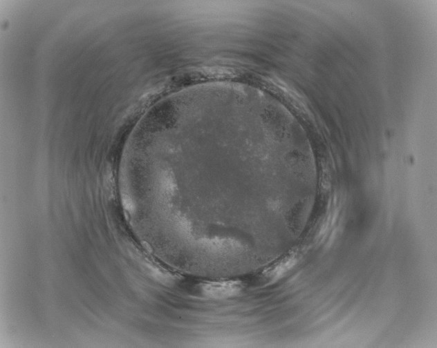 X0000076090465200609291231