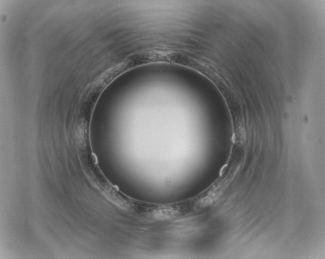 X0000076090468200609291231