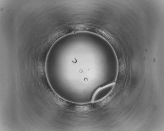 X0000076090469200609291231