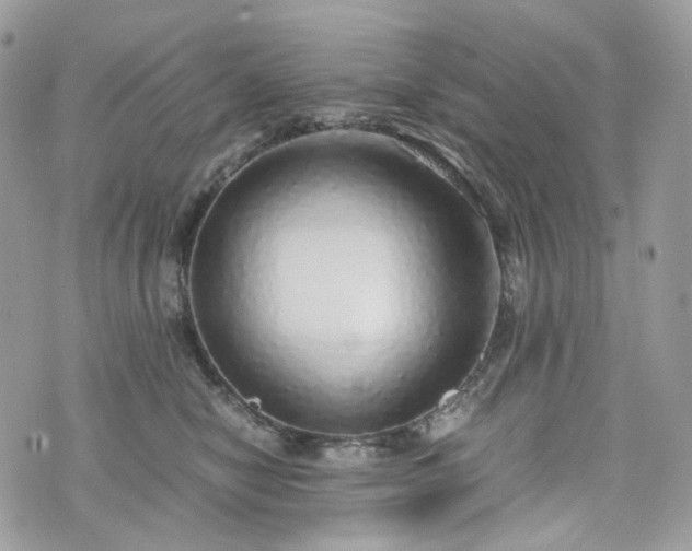 X0000076090470200609291231