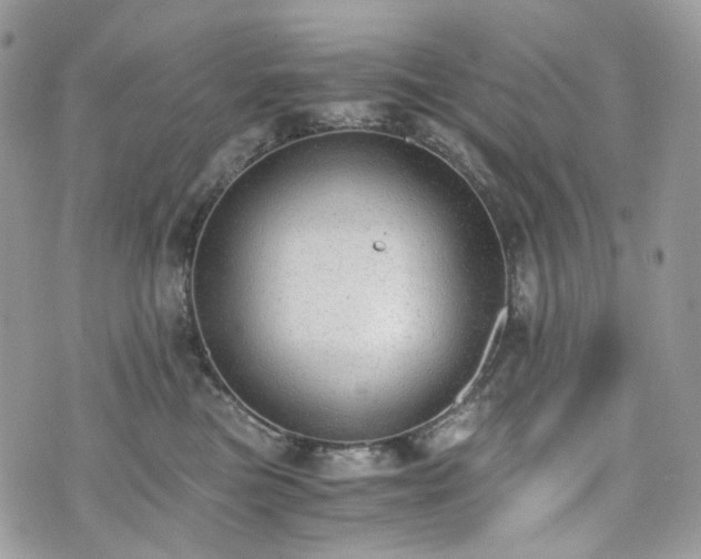 X0000076090473200609291231