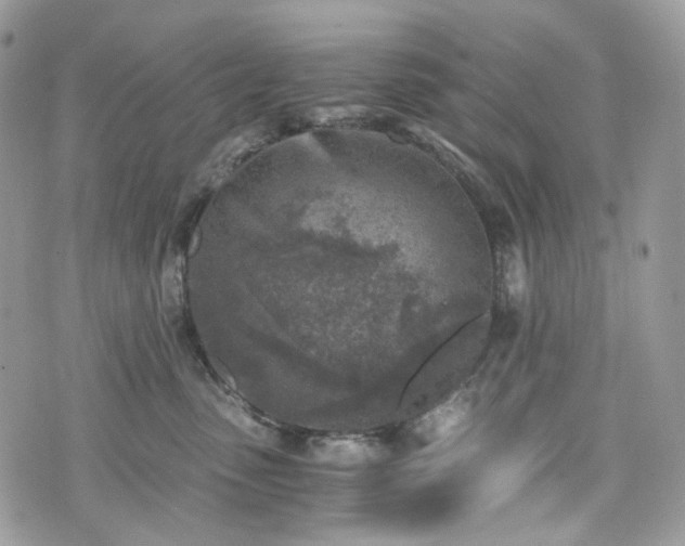 X0000076090475200609291231