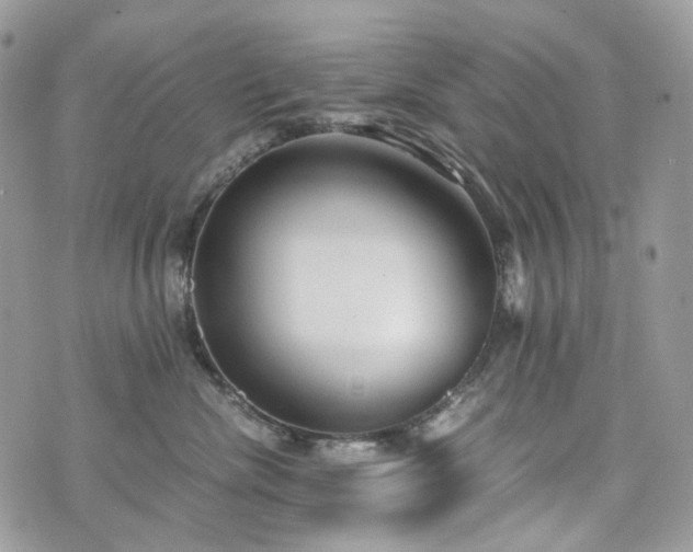 X0000076090476200609291231