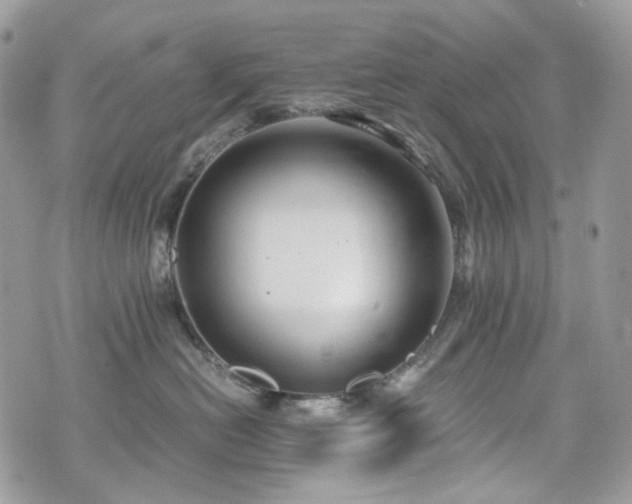 X0000076090478200609291231