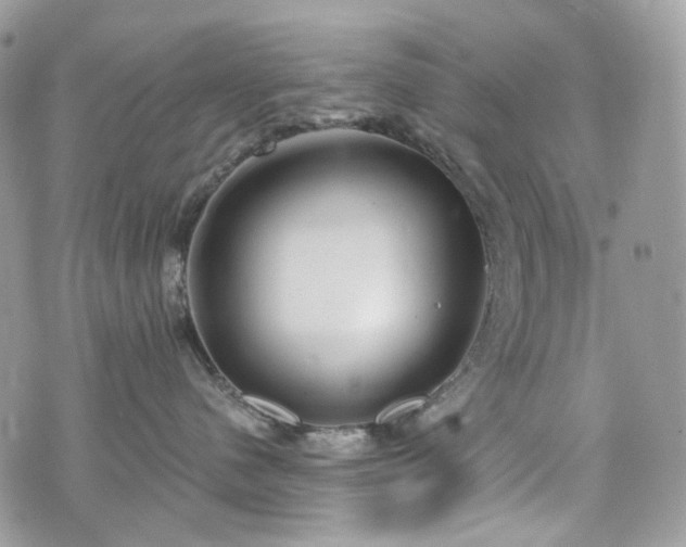 X0000076090480200609291231