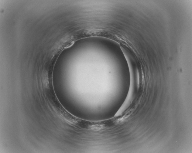 X0000076090508200609291230