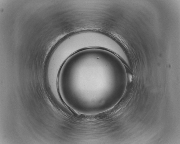 X0000076090540200609291229