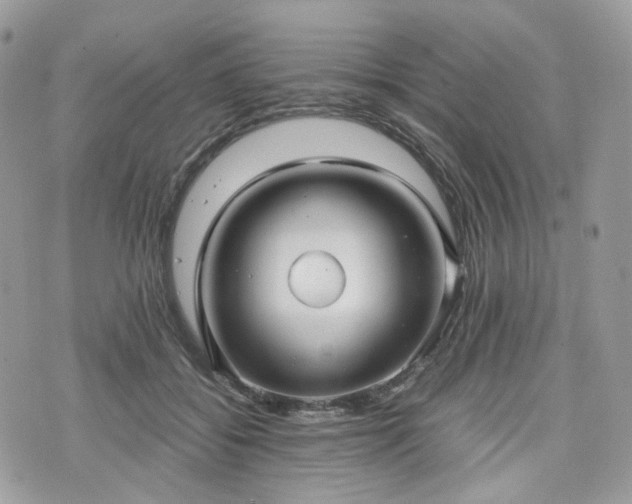 X0000076090556200609291229