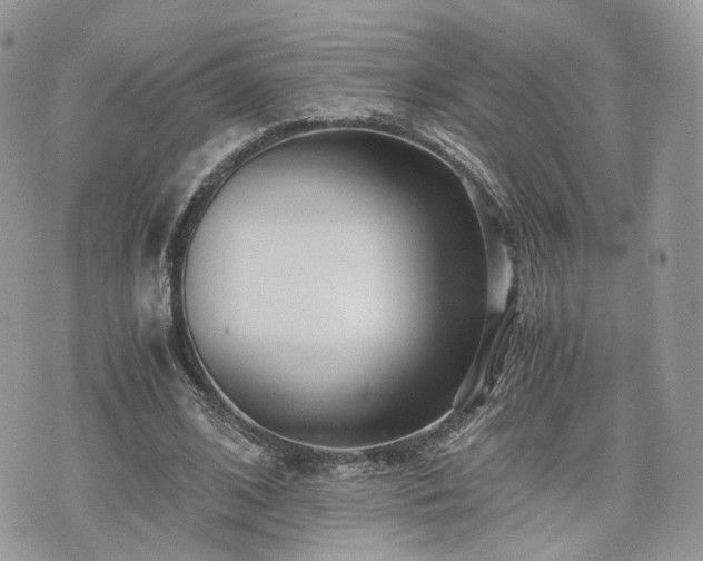 X0000076090584200609291229