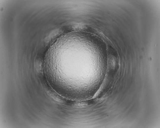 X0000076090619200609291228