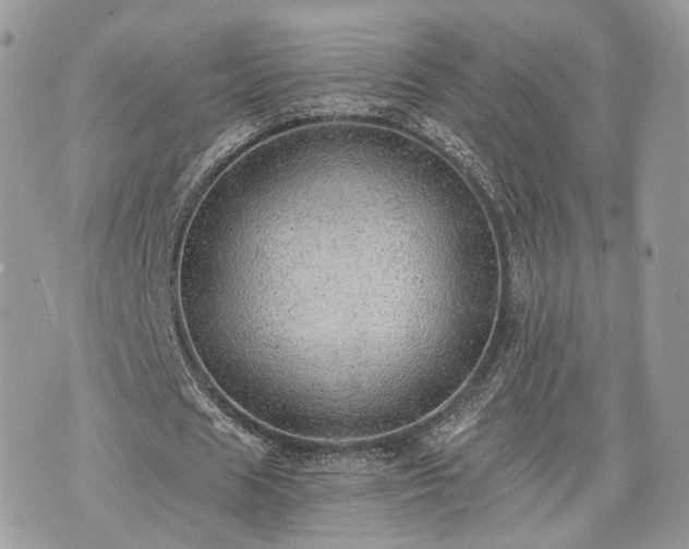 X0000076090625200609291227