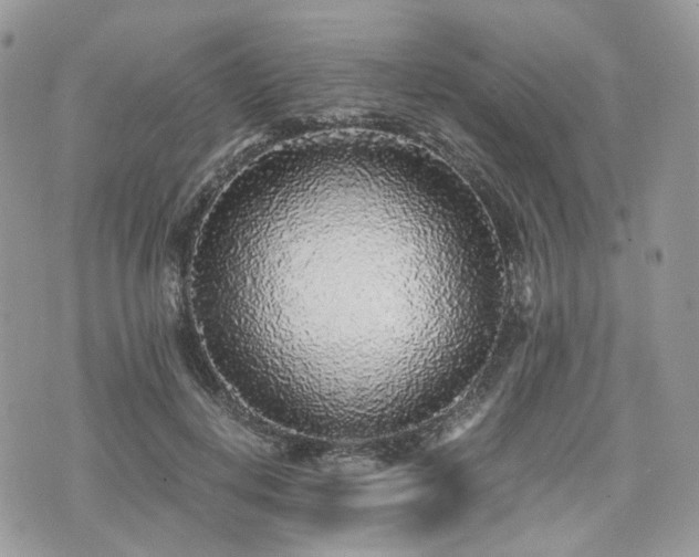X0000076090648200609291227
