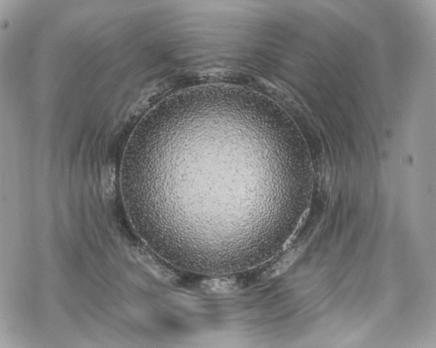 X0000076090660200609291228