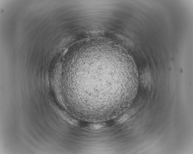 X0000076090662200609291228