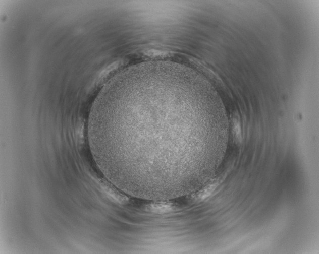 X0000076090668200609291228