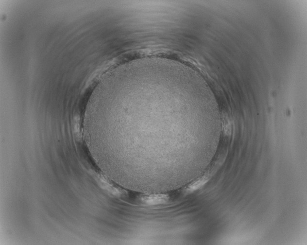 X0000076090670200609291228