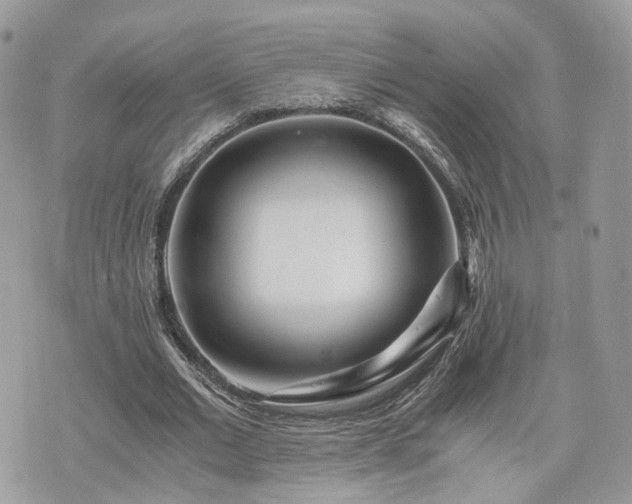 X0000076090677200609291227