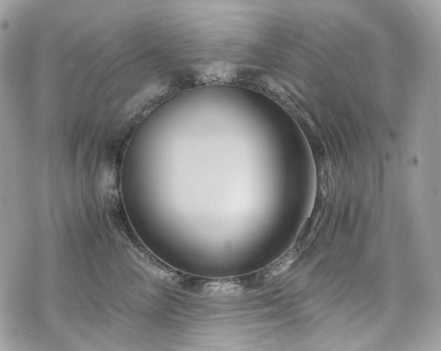 X0000076090714200609291226