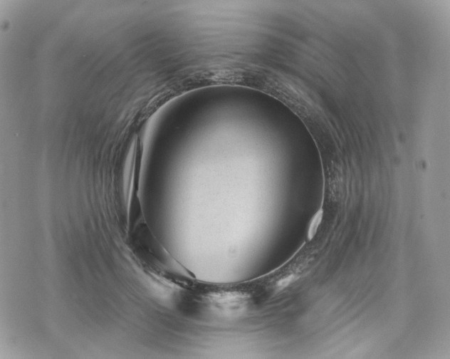 X0000076090748200609291226